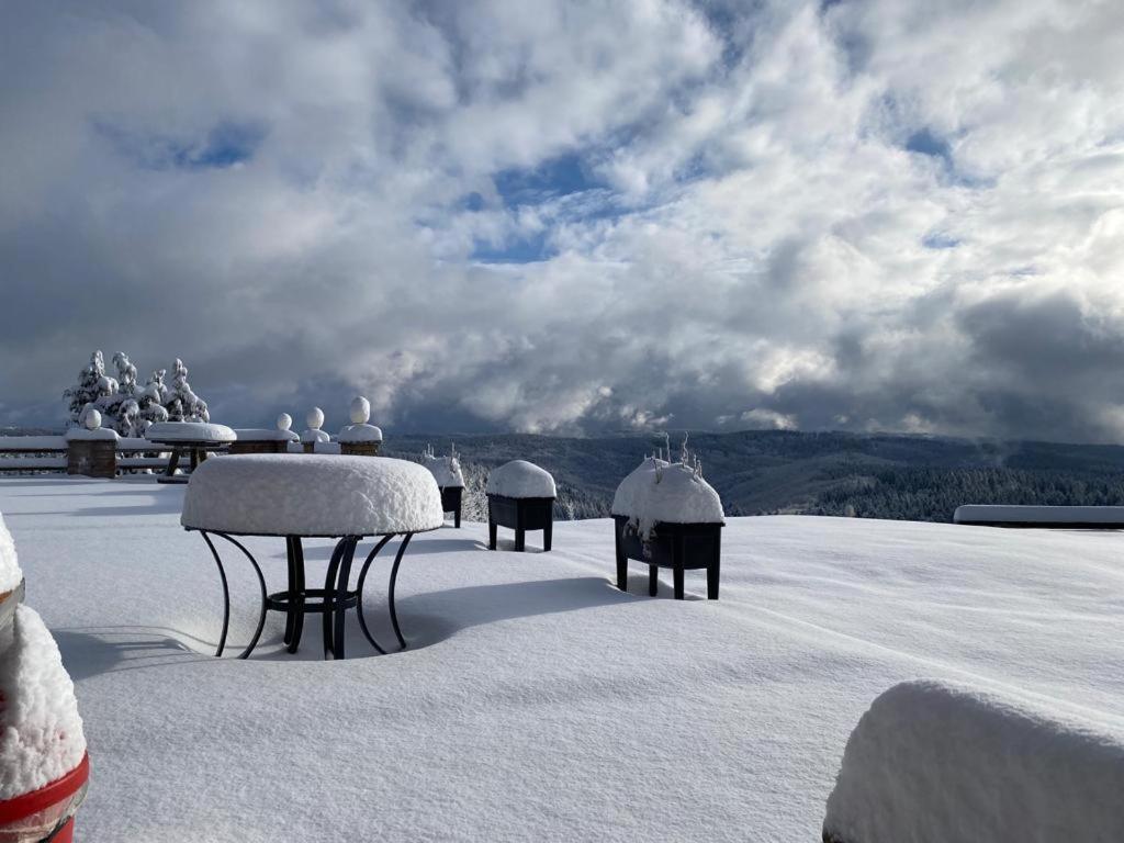 Berghotel Stutenhaus Schmiedefeld am Rennsteig Εξωτερικό φωτογραφία
